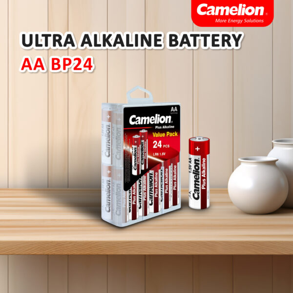 Camelion Alkaline AA BP24 - Box - Image 2