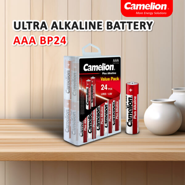 Camelion Alkaline AAA BP24 - Box - Image 2